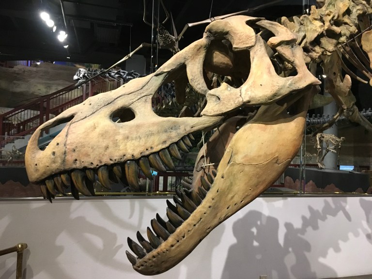 F165B32C-600F-4B93-A1E4-4BB0CD472C04