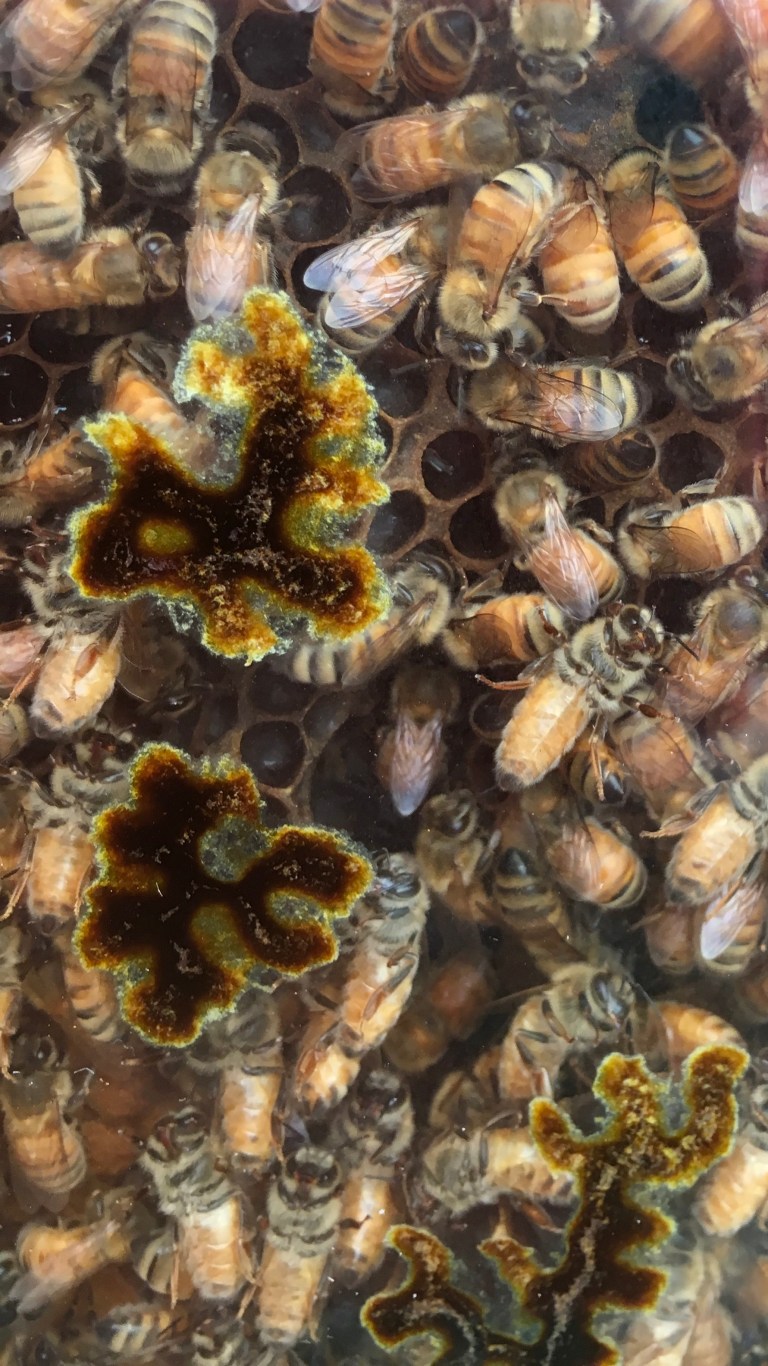 F44FF74F-47B6-4AFD-B661-63EC444BE9AA