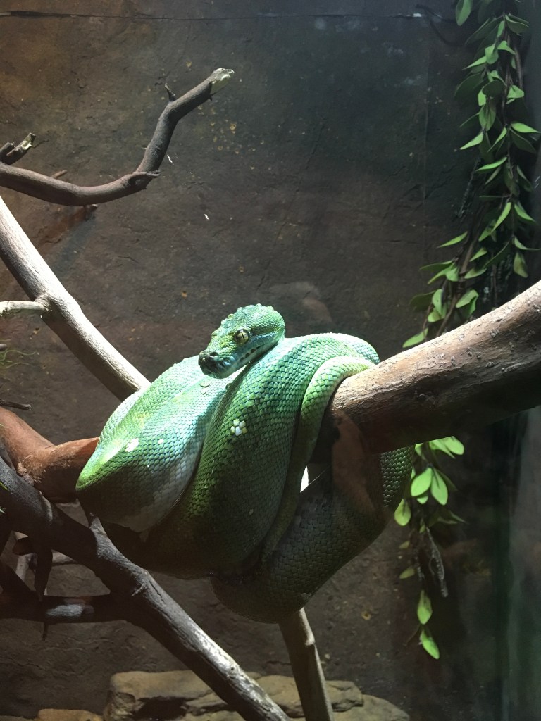 FCB958E5-8B27-4BDA-864A-4F8251171C90