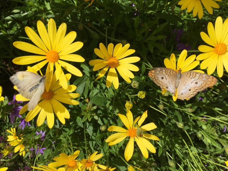 FFE814A6-45EE-46B9-B2F6-3FB622949AAC