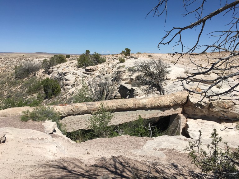 49F7591E-046D-4FC6-A6D6-82B1093D9659