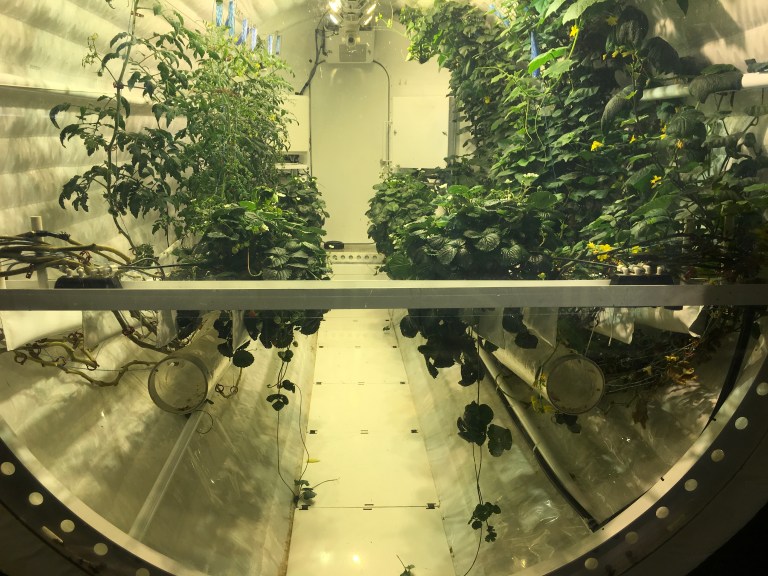 55070BCD-2042-4454-BCBF-CAD053BCAC03