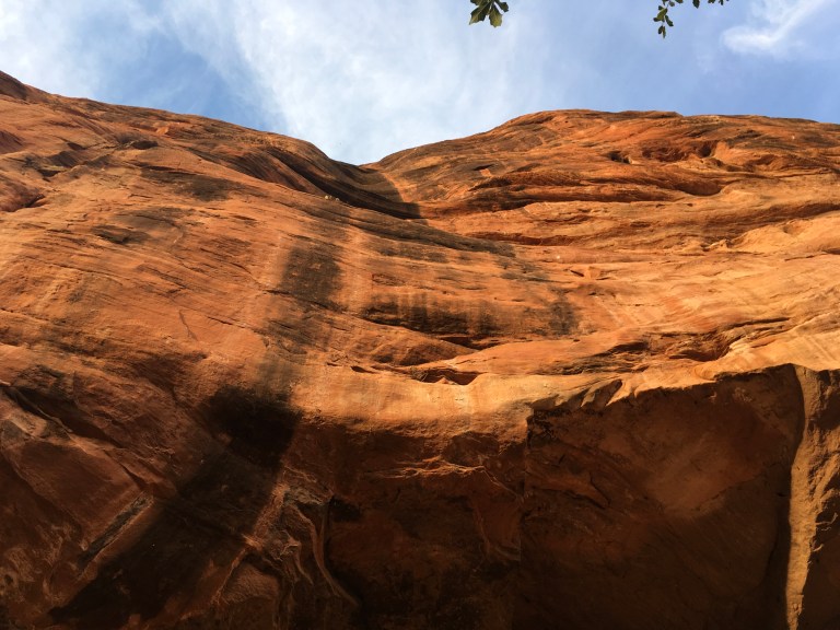 562C862F-EF85-4D73-856F-4C4374D8205B