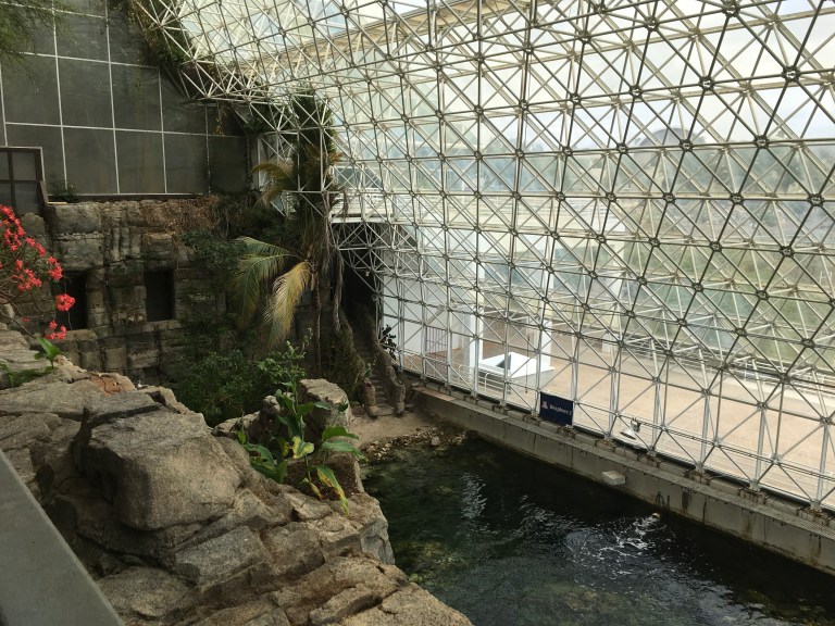 CA6A54CD-6F3C-48D5-82C4-64AE5EE65C18