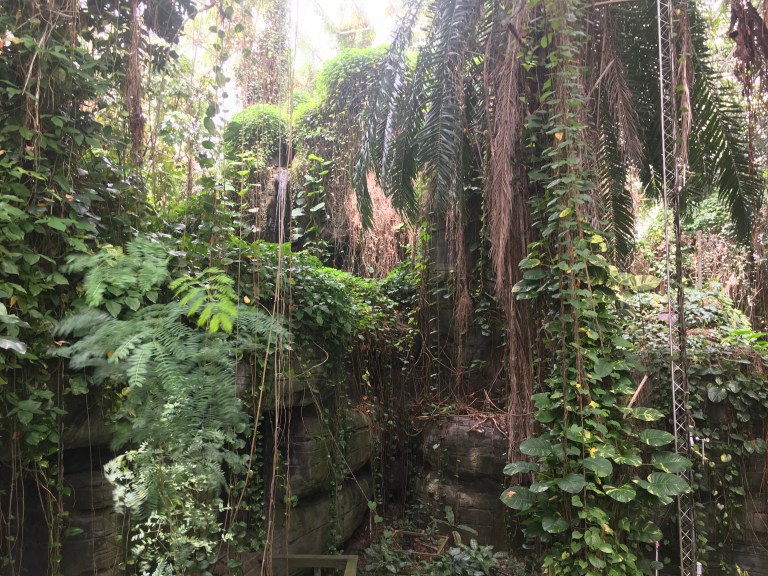 CAA2F6AD-44C1-401C-A8A5-B9A833CE3BB5