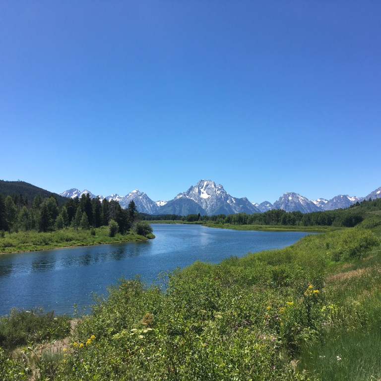 03B77974-C823-4DD3-B921-B5C0A98DE232