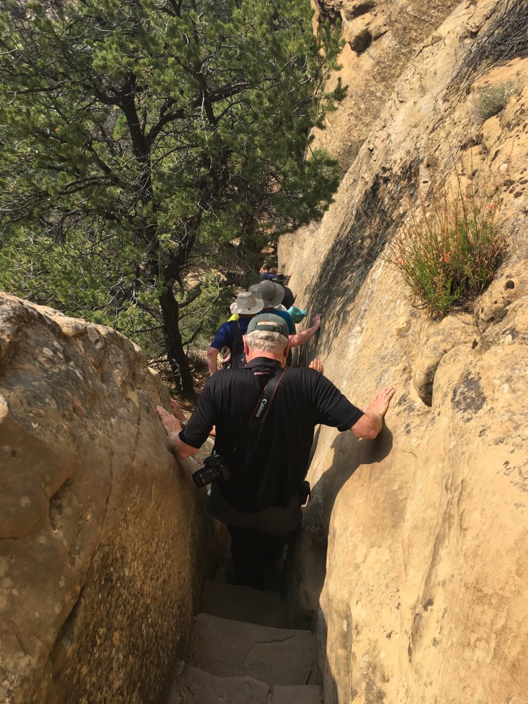 0F902CE1-2486-41CB-AC10-E816B87744AC