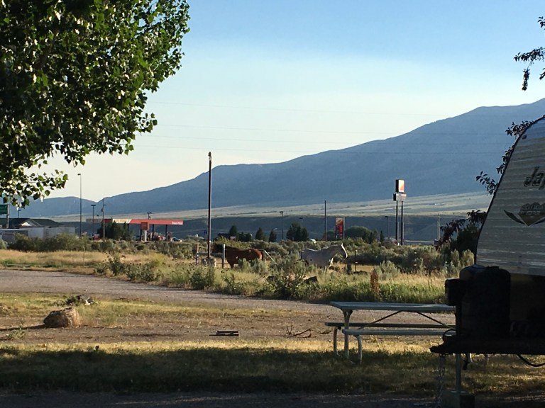 15B8C5E3-A28E-4DF1-84C2-A99D8396DBD7