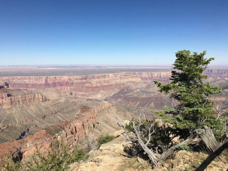 18D61125-C1D6-4A97-85D5-867C3A0BC20C