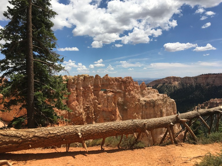 23CF22D1-E5C2-4DC1-AD26-ABCDCA197D4B