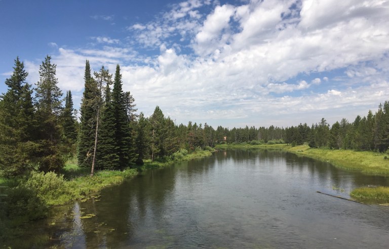 7605DF1A-0139-43F5-9C6F-F93BA5137060