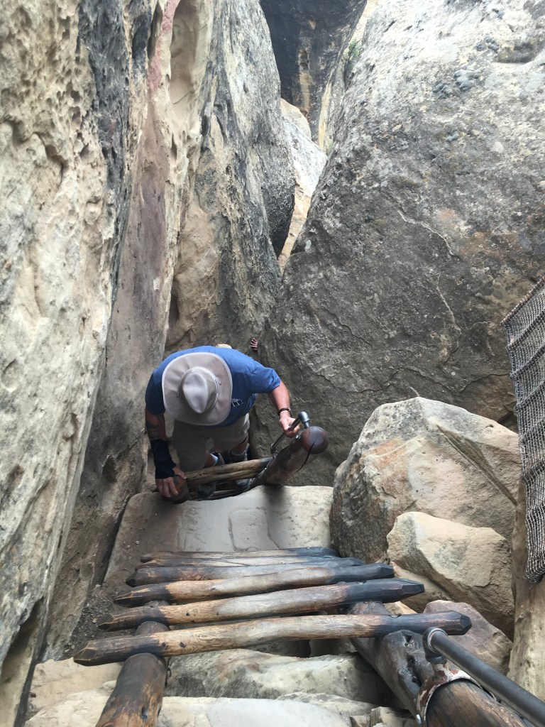 7D0A75DE-CFB9-456E-A791-FCD504734DCF