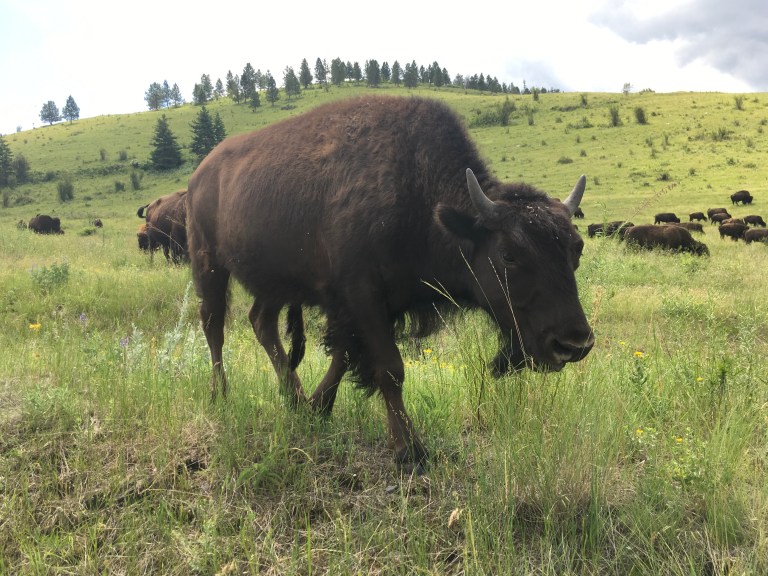 7DEF998A-7FDC-4BA9-91CE-3DCD3CBF72EF