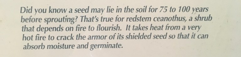 88920E13-271F-4C34-92BA-3967A3609070