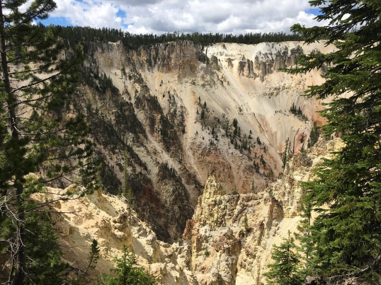 A335DE76-ABDF-449B-BFCC-1EAD4D5D4C68