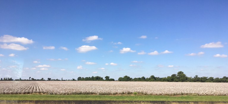 D46B4BAE-B550-4F27-9223-6D859CEB1F7D