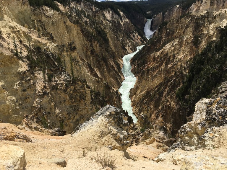 EA181A5A-E6C3-4CB3-8535-26F72E6EDEEE