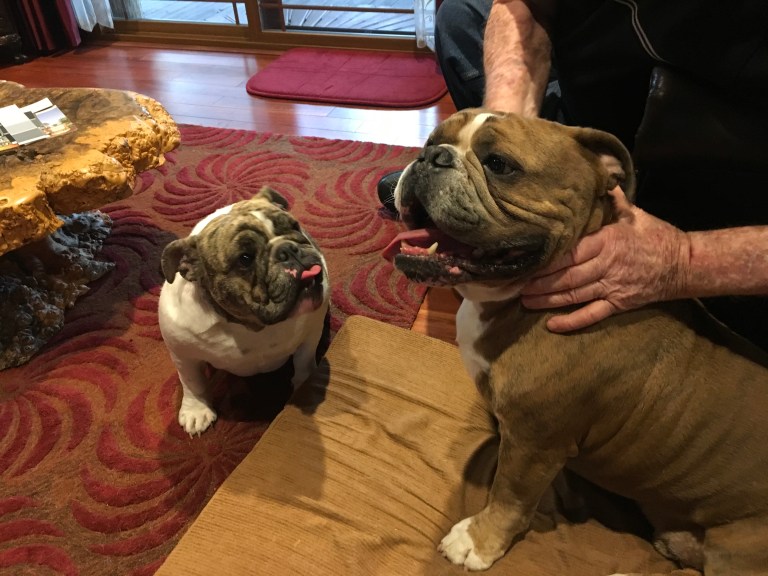 9FFE6357-BBBA-448E-BD16-6754B012DF96